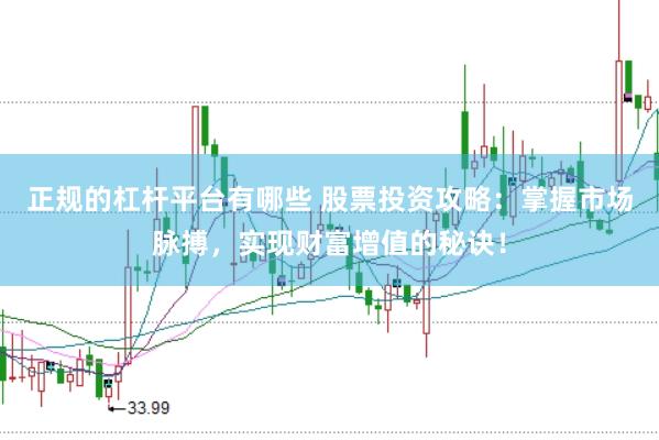 正规的杠杆平台有哪些 股票投资攻略：掌握市场脉搏，实现财富增值的秘诀！