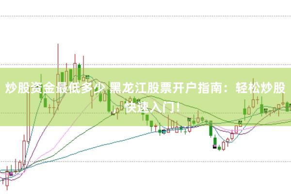 炒股资金最低多少 黑龙江股票开户指南：轻松炒股，快速入门！