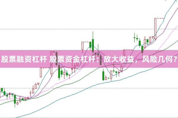 股票融资杠杆 股票资金杠杆：放大收益，风险几何？