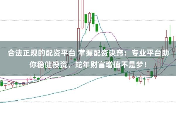 合法正规的配资平台 掌握配资诀窍：专业平台助你稳健投资，蛇年财富增值不是梦！