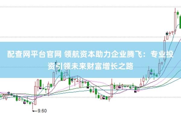 配查网平台官网 领航资本助力企业腾飞：专业投资引领未来财富增长之路