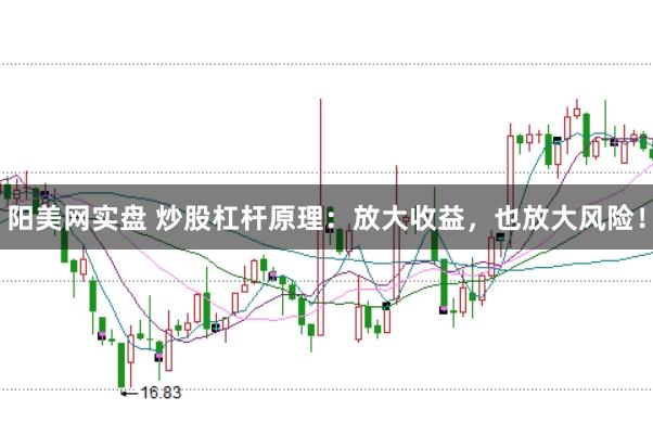 阳美网实盘 炒股杠杆原理：放大收益，也放大风险！