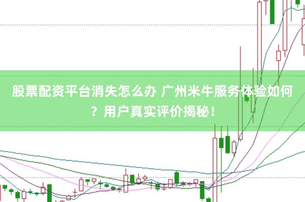 股票配资平台消失怎么办 广州米牛服务体验如何？用户真实评价揭秘！