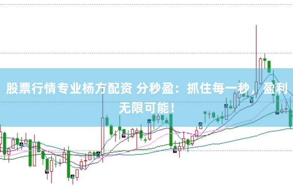 股票行情专业杨方配资 分秒盈：抓住每一秒，盈利无限可能！