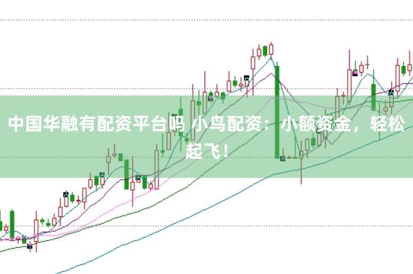 中国华融有配资平台吗 小鸟配资：小额资金，轻松起飞！