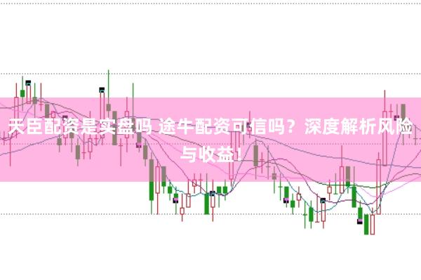 天臣配资是实盘吗 途牛配资可信吗？深度解析风险与收益！