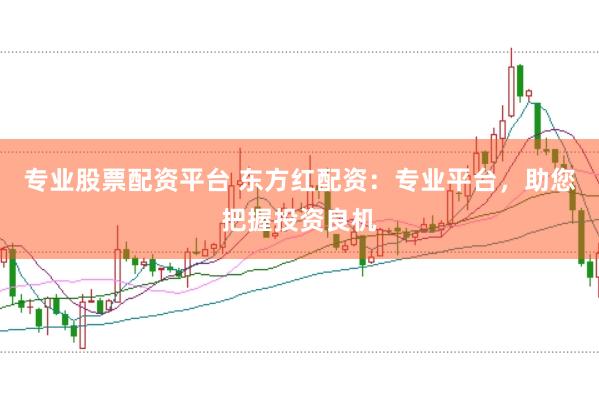 专业股票配资平台 东方红配资：专业平台，助您把握投资良机