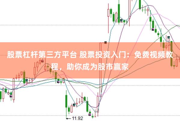股票杠杆第三方平台 股票投资入门：免费视频教程，助你成为股市赢家
