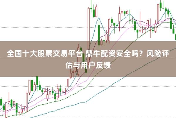 全国十大股票交易平台 鼎牛配资安全吗？风险评估与用户反馈