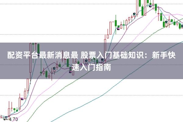 配资平台最新消息最 股票入门基础知识：新手快速入门指南