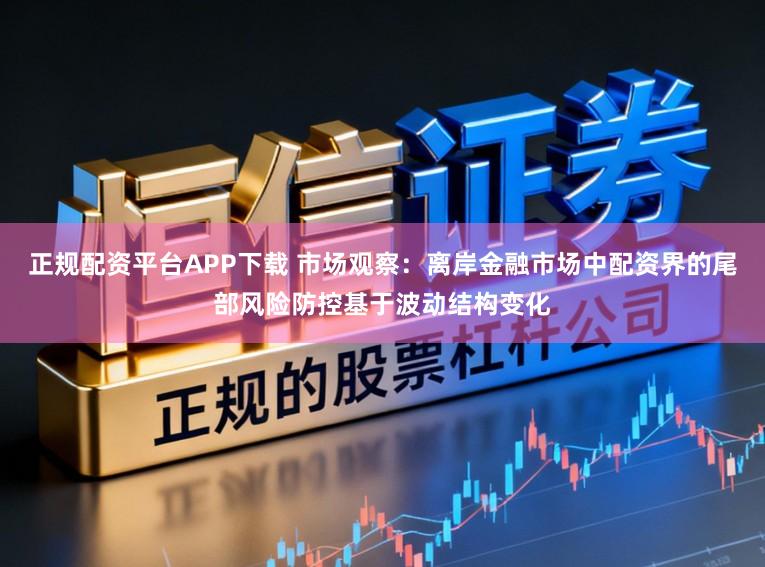 正规配资平台APP下载 市场观察：离岸金融市场中配资界的尾部风险防控基于波动结构变化