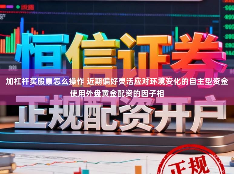 加杠杆买股票怎么操作 近期偏好灵活应对环境变化的自主型资金使用外盘黄金配资的因子相