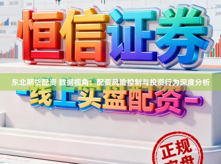 东北期货配资 数据视角:配资风险控制与投资行为深度分析