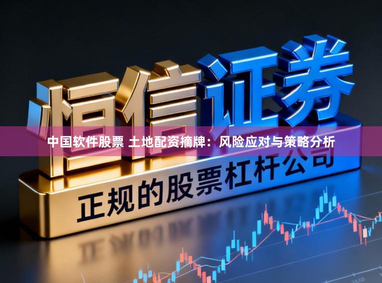 中国软件股票 土地配资摘牌：风险应对与策略分析
